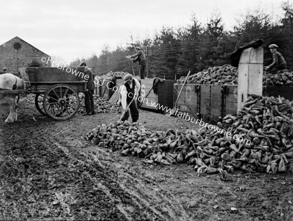 SUGAR BEET WORKERS G.S.R. GOODS TRAIN